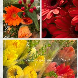 Ramo 💐 5 Gerberas