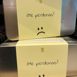 Caja de Bombones Lindt ¿ME PERDONAS ?